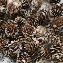 Load image into Gallery viewer, Festive Pinecones
