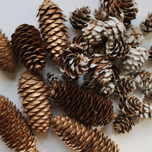 Load image into Gallery viewer, Festive Pinecones
