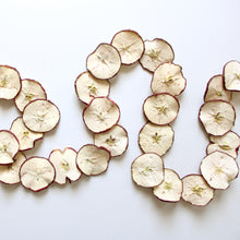 Load image into Gallery viewer, Garland - Red Apple Slices 6&#39;
