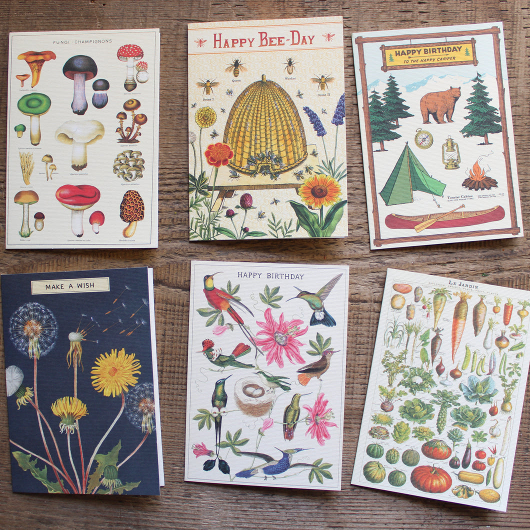 Greeting Card - Everyday