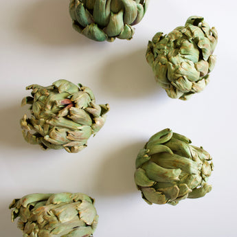 Dried Artichoke