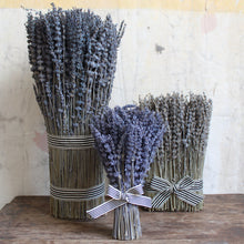 Load image into Gallery viewer, Lavender Sheaf
