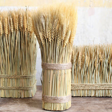 Load image into Gallery viewer, Wheat Sheaf
