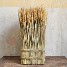 Load image into Gallery viewer, Wheat Sheaf
