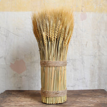 Load image into Gallery viewer, Wheat Sheaf
