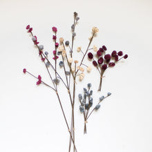 Load image into Gallery viewer, Osmanthus on Wired Stems
