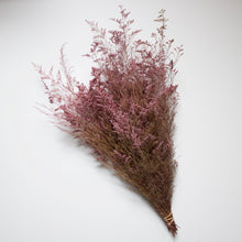 Load image into Gallery viewer, Preserved Foliage (Caspia/Limonium) Bunch in color &quot;Pink&quot;
