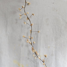 Load image into Gallery viewer, Osmanthus Pod Garland - 72&quot;
