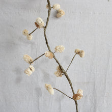 Load image into Gallery viewer, Osmanthus Pod Garland - 72&quot;
