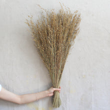 Load image into Gallery viewer, Princess Grass

