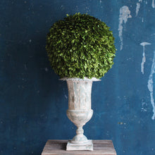 Load image into Gallery viewer, Preserved Boxwood Ball - Large
