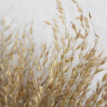 Load image into Gallery viewer, Princess Grass
