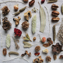 Load image into Gallery viewer, Dried Flower &amp; Pod Potpourri
