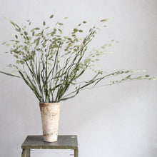 Load image into Gallery viewer, Sea Oats

