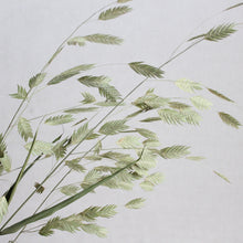Load image into Gallery viewer, Sea Oats
