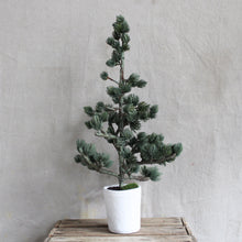 Load image into Gallery viewer, Faux Evergreen Tabletop Trees
