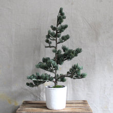 Load image into Gallery viewer, Faux Evergreen Tabletop Trees
