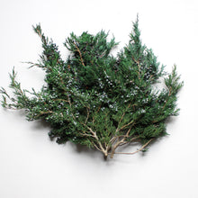 Load image into Gallery viewer, Preserved Juniper Bunch
