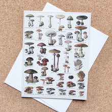 Load image into Gallery viewer, Vintage Cards - Mushroom
