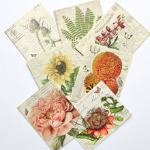 Load image into Gallery viewer, Vintage Cards - Botanical
