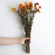 Load image into Gallery viewer, Strawflowers - Dried

