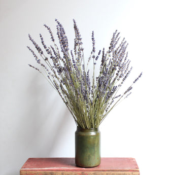 Dried French Lavender