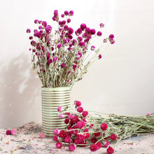 Load image into Gallery viewer, Gomphrena (Globe Amaranth) - Dried
