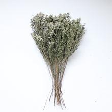 Load image into Gallery viewer, Mint (Dried) - Mountain
