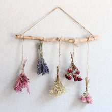 Load image into Gallery viewer, Gomphrena (Globe Amaranth) - Dried
