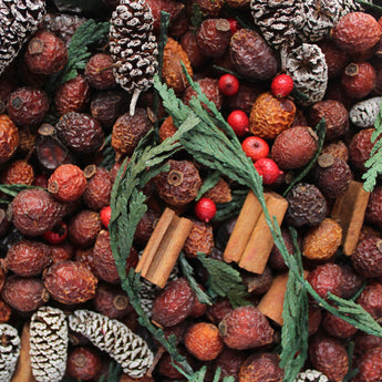Seasonal Potpourri