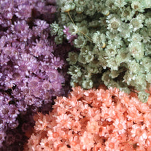 Load image into Gallery viewer, Star Flowers
