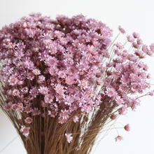Load image into Gallery viewer, Star Flowers
