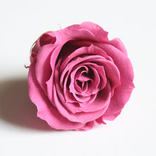 Load image into Gallery viewer, Roseheads - Preserved 1.5&quot;
