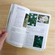 Load image into Gallery viewer, Peterson Field Guide to Medicinal Plants and Herbs
