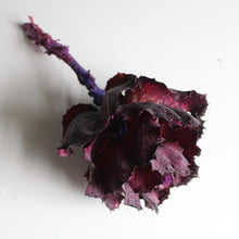 Load image into Gallery viewer, Queen Flower
