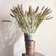 Load image into Gallery viewer, Millet - Purple Mist (Dried)
