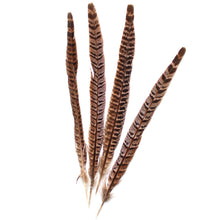 Load image into Gallery viewer, Ringneck Pheasant Feathers
