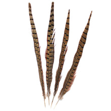 Load image into Gallery viewer, Ringneck Pheasant Feathers

