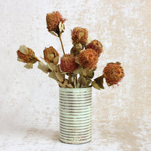 Load image into Gallery viewer, Banksia - Coccinea
