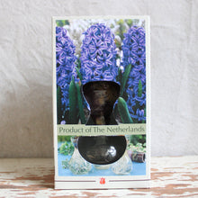 Load image into Gallery viewer, Bulb &amp; Vase Grow Kit
