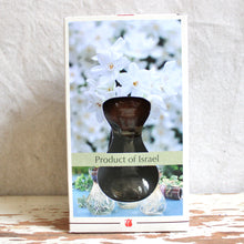 Load image into Gallery viewer, Bulb &amp; Vase Grow Kit
