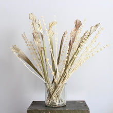 Load image into Gallery viewer, Pennyroyal - Dried
