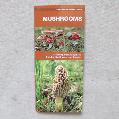 Foldable Pocket Guide about Mushrooms