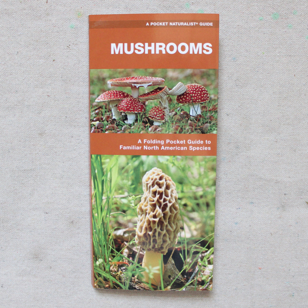 Foldable Pocket Guide about Mushrooms