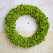 Load image into Gallery viewer, Chartreuse Reindeer Moss Wreath 20&quot;
