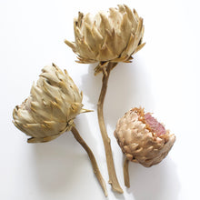 Load image into Gallery viewer, Artichokes on Stem
