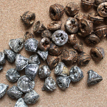 Load image into Gallery viewer, Dried Eucalyptus Pods
