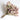 Dried Kent Beauty Oregano