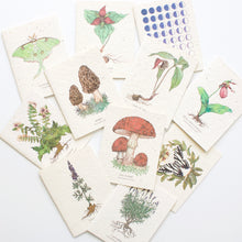 Load image into Gallery viewer, Plantable Seed Card
