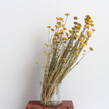 Load image into Gallery viewer, Lonas - Dried
